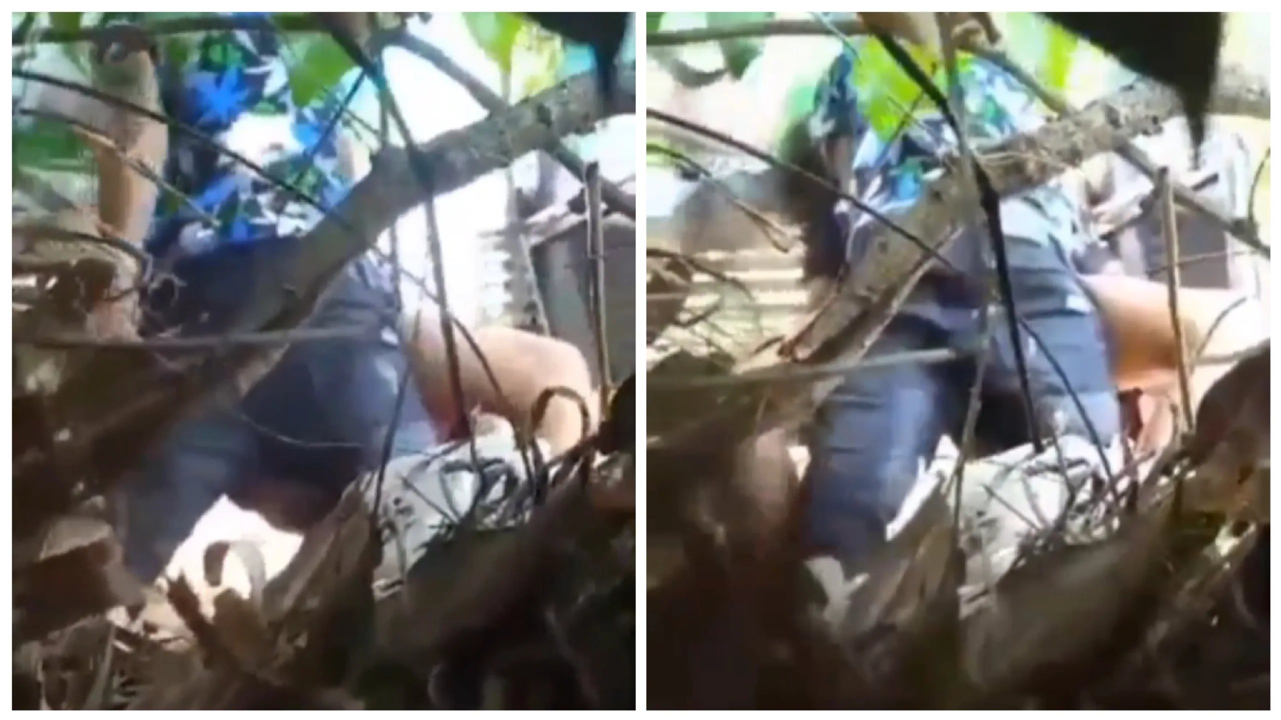 ပန်းခြံခုံမှာ ပေါ်တင်ဆွဲတာ – Myanmar Couple Having Sex Public Park On The Chair