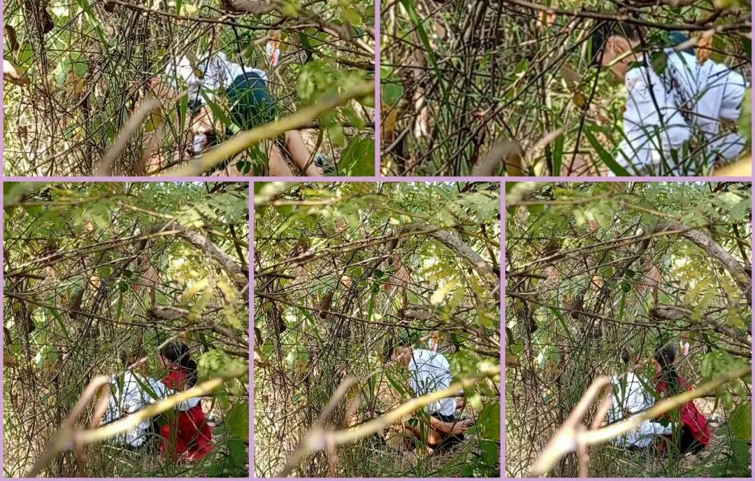 ကျောင်းမသွားပဲ တောတိုးတဲ့ ကျောင်းသူအတွဲ